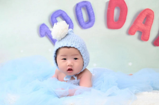 邯郸宝宝虾丸的做法